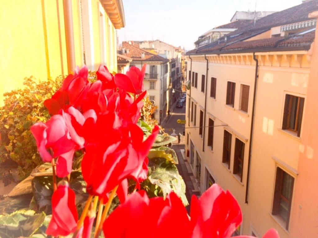 Fedua Centro Verona Exterior foto